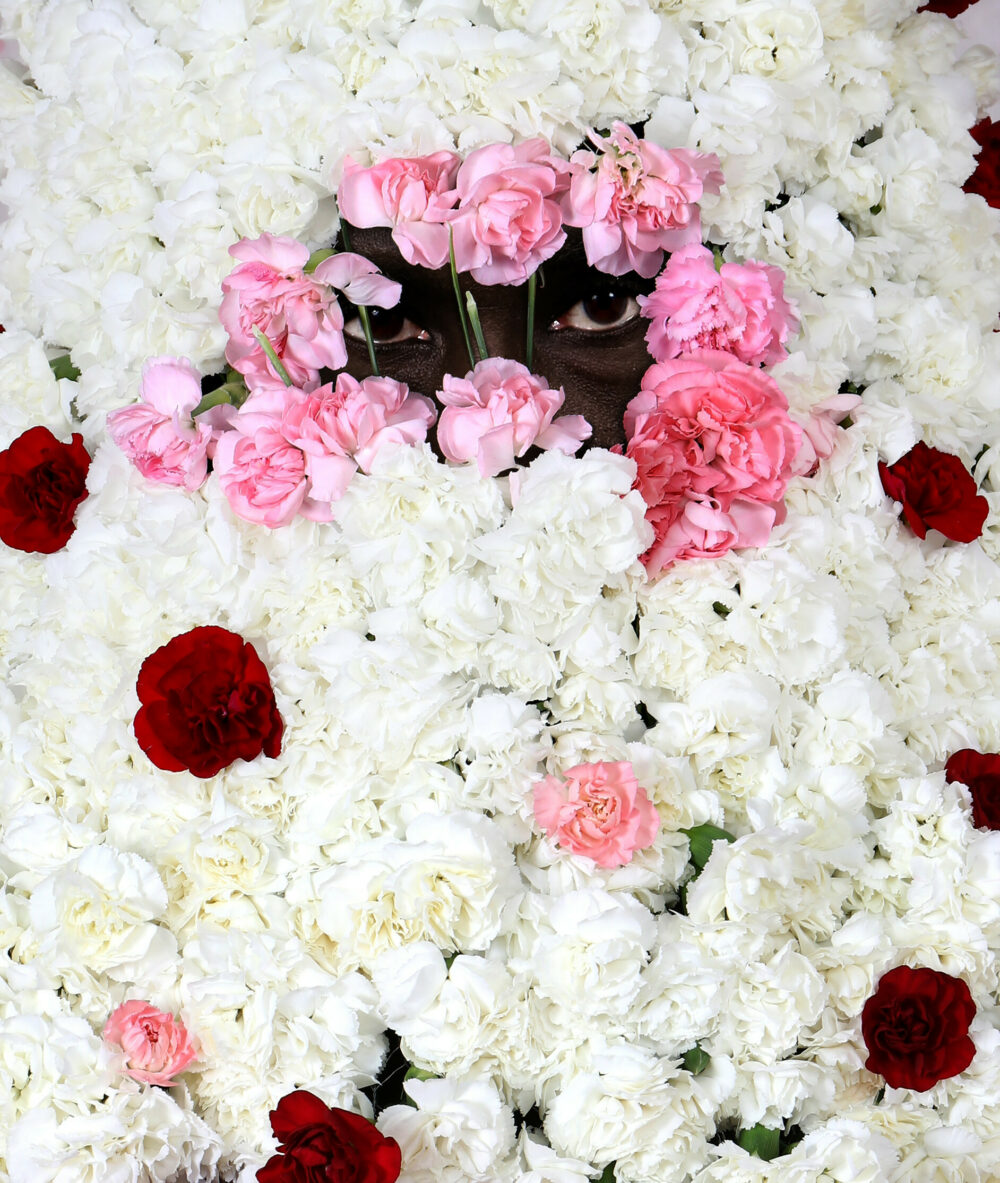 Red White and pink flowers