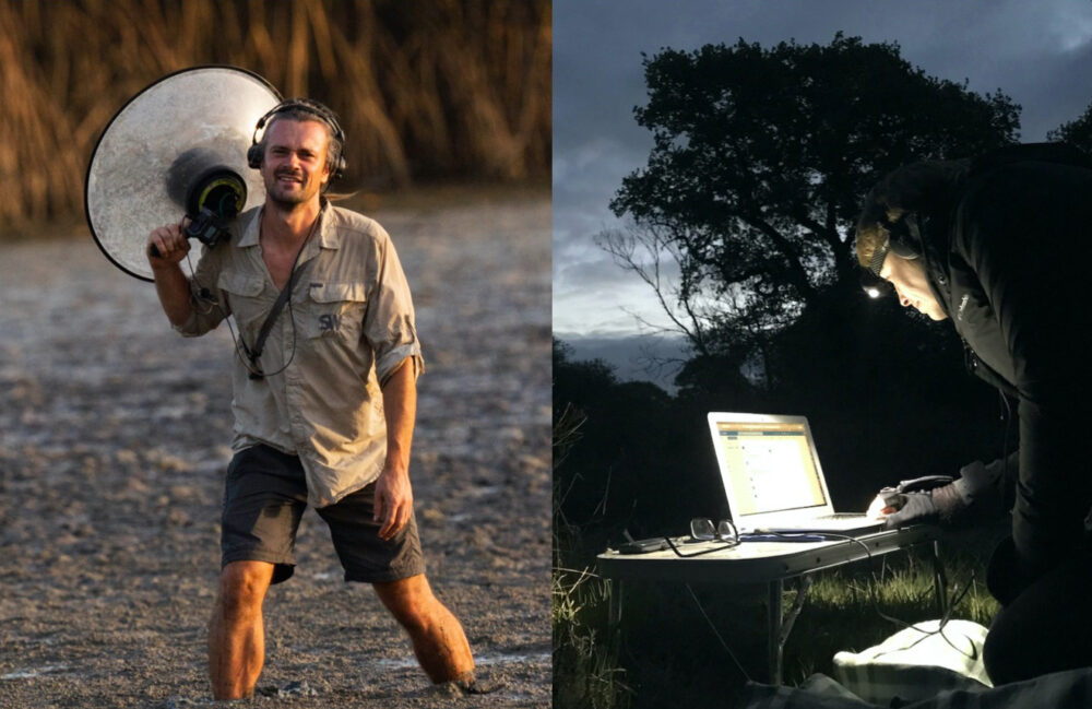 Wild Grooves image side by side 1