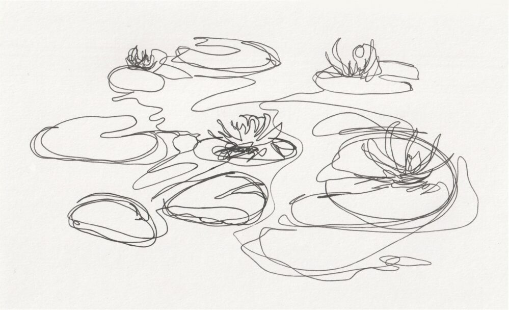 Website bsutt lily pads